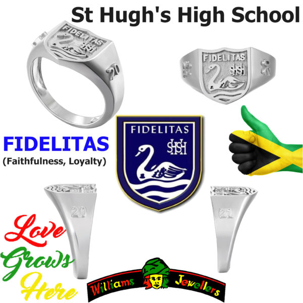 St Hugh's high school